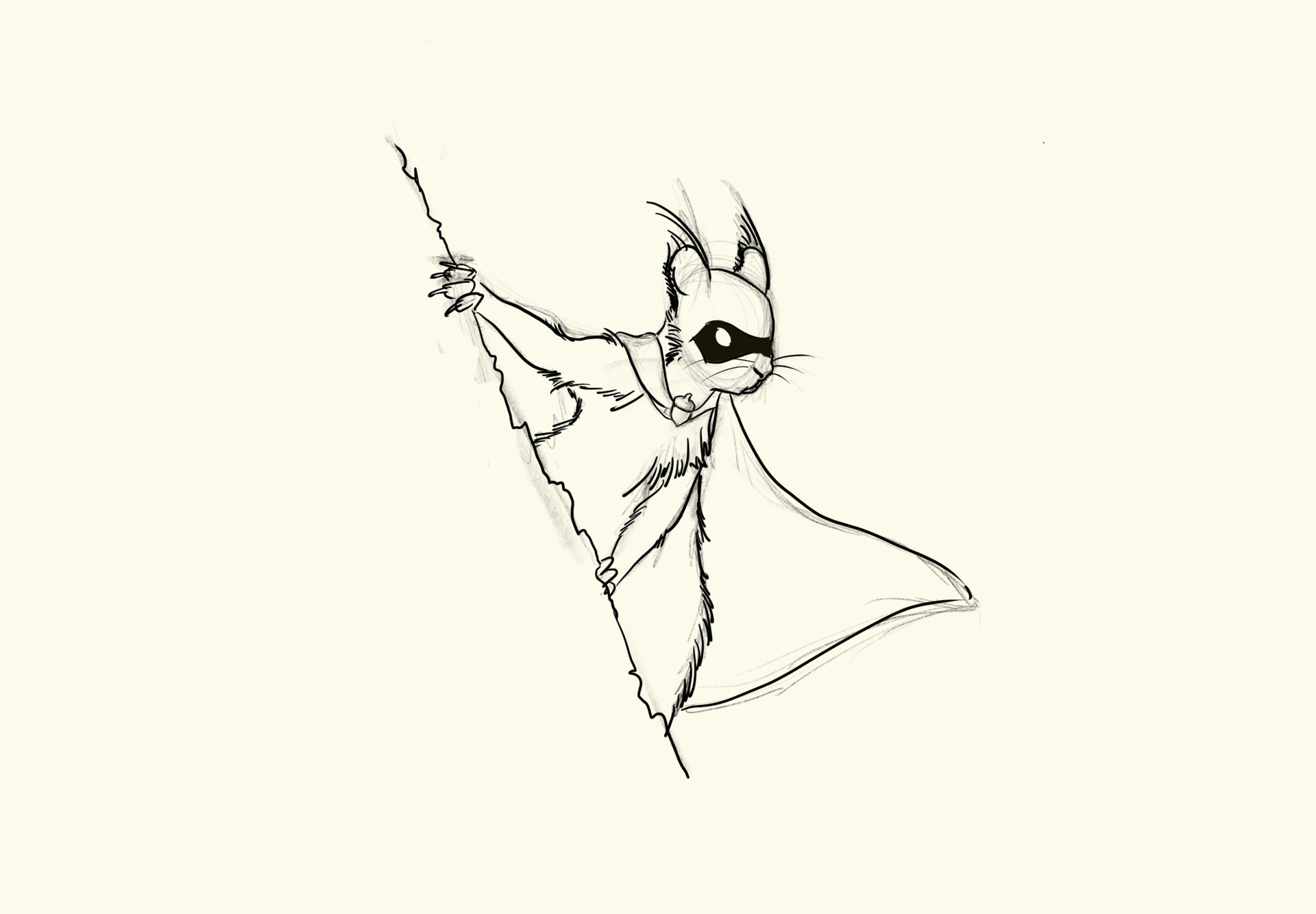 Supercureuil drawing.