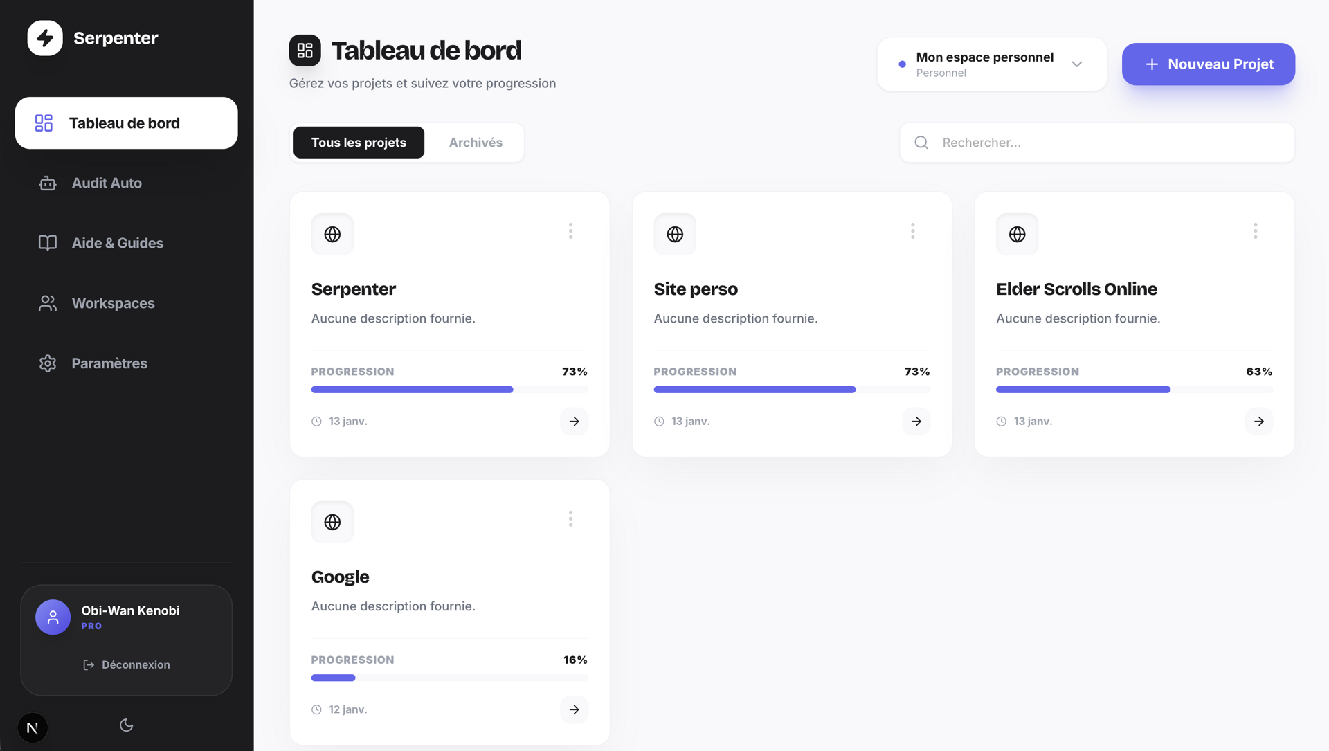 Aperçu de Serpenter, outil d’audit SEO.